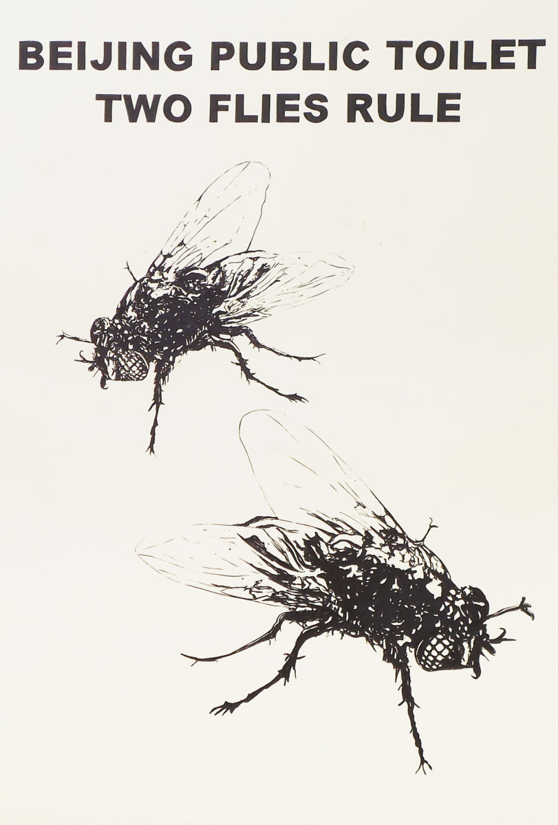 Beijing Public Toilet Two Flies Rule - Riiko Sakkinen